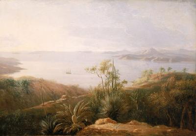 William Westall A Bay on the South Coast of New Holland oil painting image